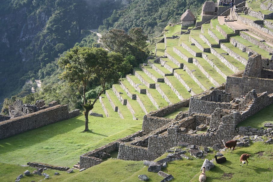 Peru, Inca, Trail, Machu Picchu, no people, history, outdoors HD wallpaper