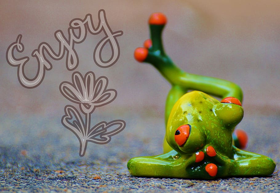 green frog with enjoy text overlay, relaxed, figure, funny HD wallpaper