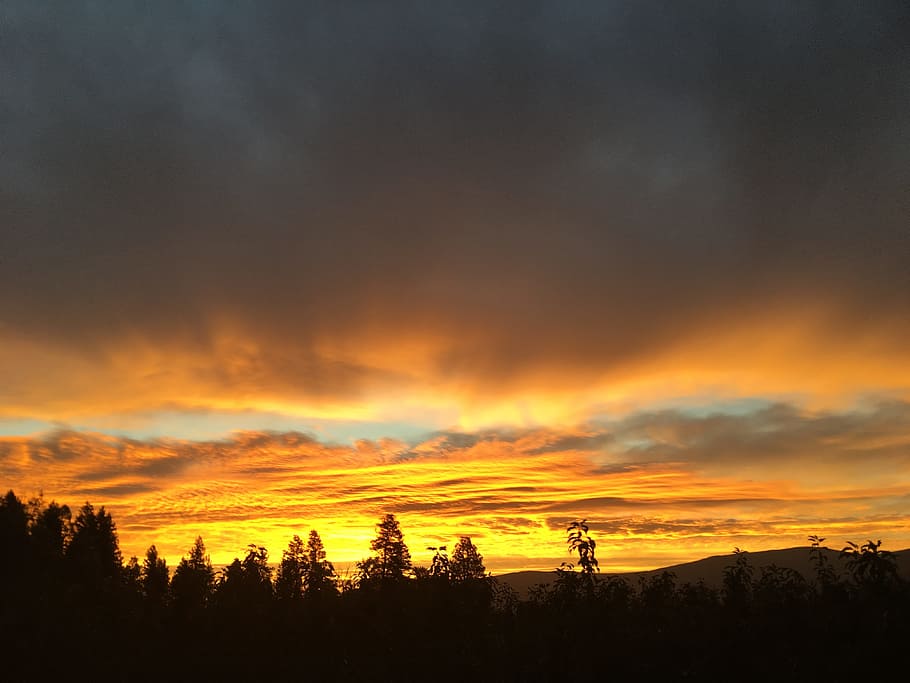 landscape, dawn, clouds, beauty in nature, tree, sky, sunset HD wallpaper