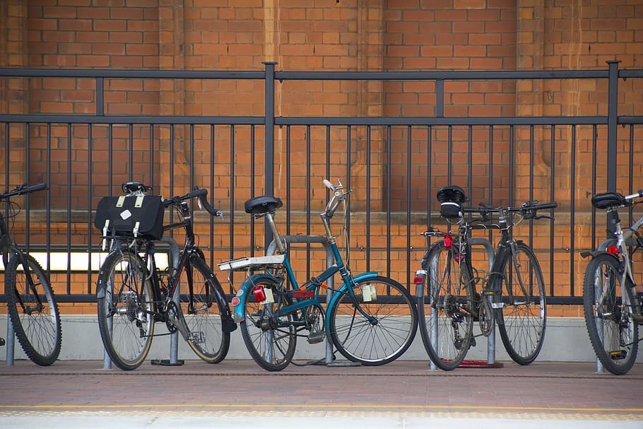 bikes, train station, bicycle, transportation, land vehicle HD wallpaper
