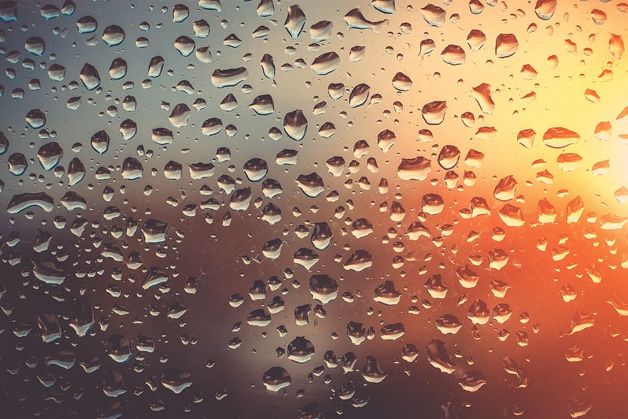 Abstract shot of rain on glass window, various, drop, wet, raindrop, HD wallpaper