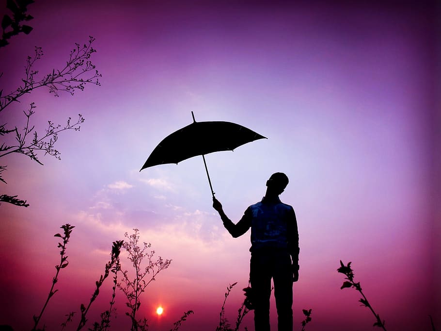 purple filter silhouette photography of man holding umbrella, HD wallpaper