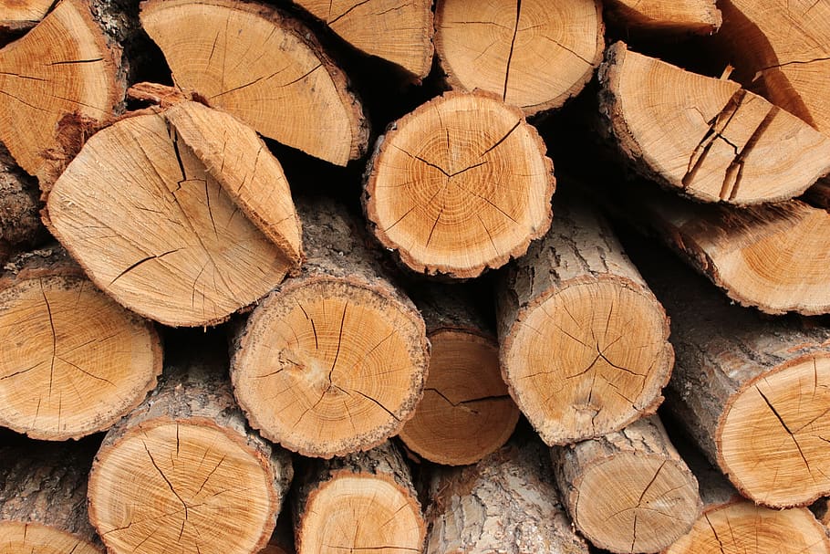 wood, trunk, konary, timber, log, firewood, full frame, wood - material HD wallpaper