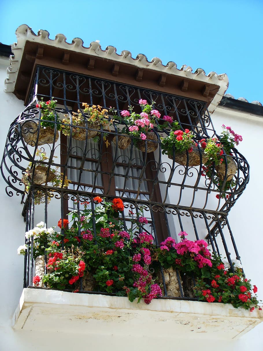 Window, Architecture, Grid, Facade, old window, building, flower HD wallpaper