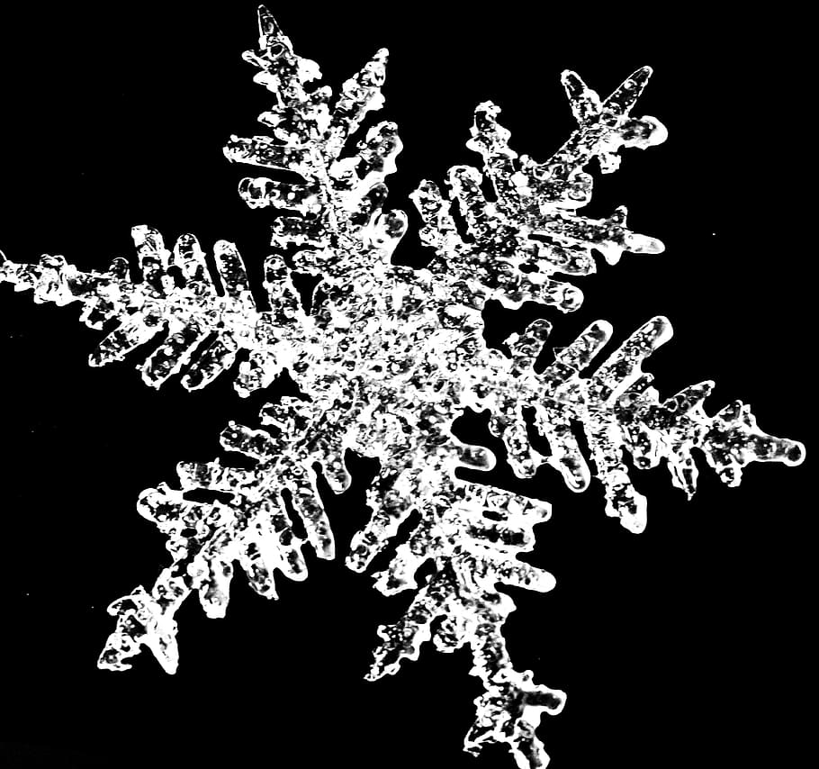 Flake, Snow, Winter, Flakes, snow flakes, christmas, holiday HD wallpaper
