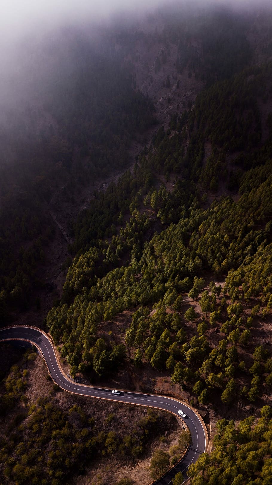 two vehicles speeding on road with trees, bird's-eye view photo two vehicles on paved street in between of green leafed trees HD wallpaper