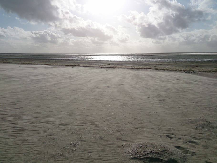 beach, sand, wind, sea, sky, land, water, horizon over water HD wallpaper