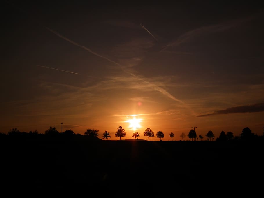 landscape, trees, nature, sky, sunset, evening, silhouette HD wallpaper
