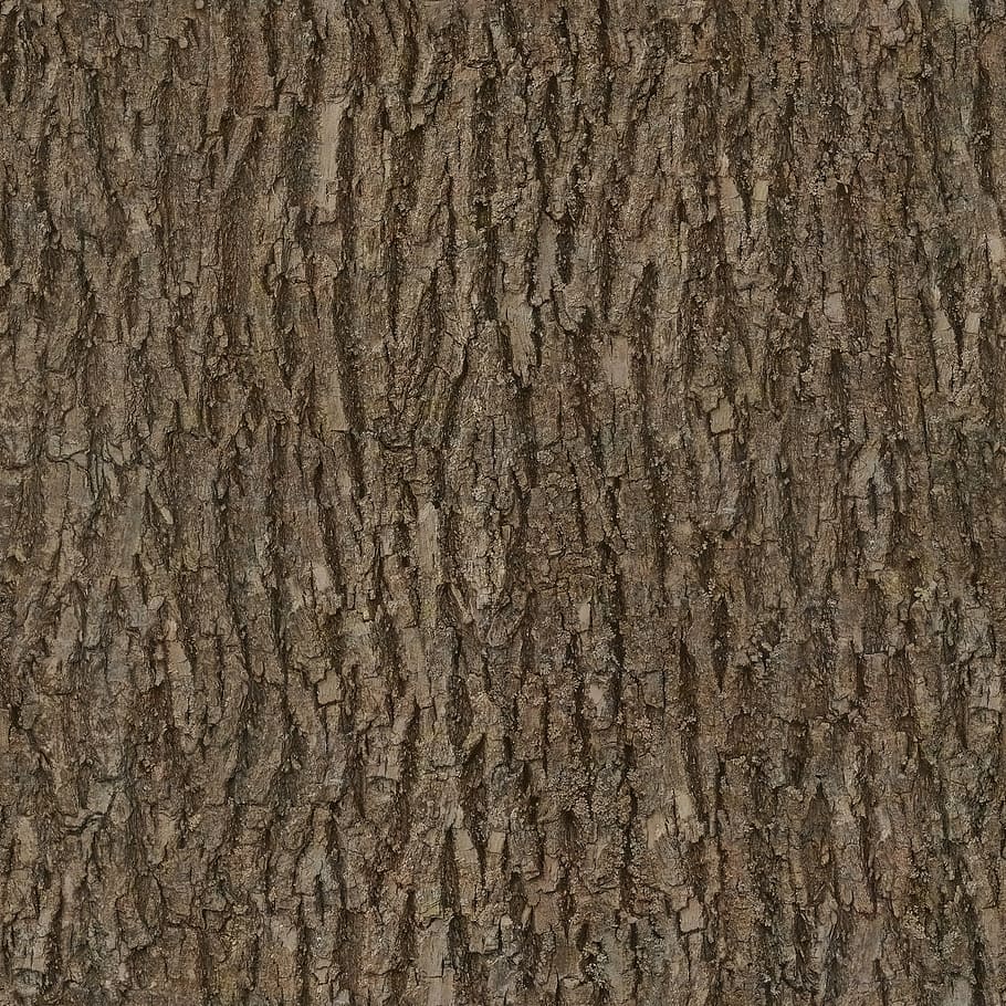bark, wood, tree, seamless, texture, albedo, base, color, basecolor, HD wallpaper