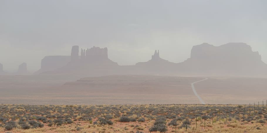 field with trees at daytime, storm, path, dust, desert, rock HD wallpaper