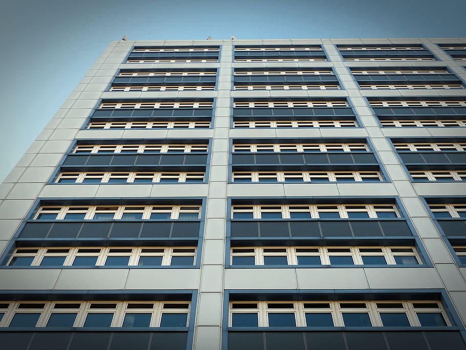 window, facade, architecture, building, home, background, wall HD wallpaper