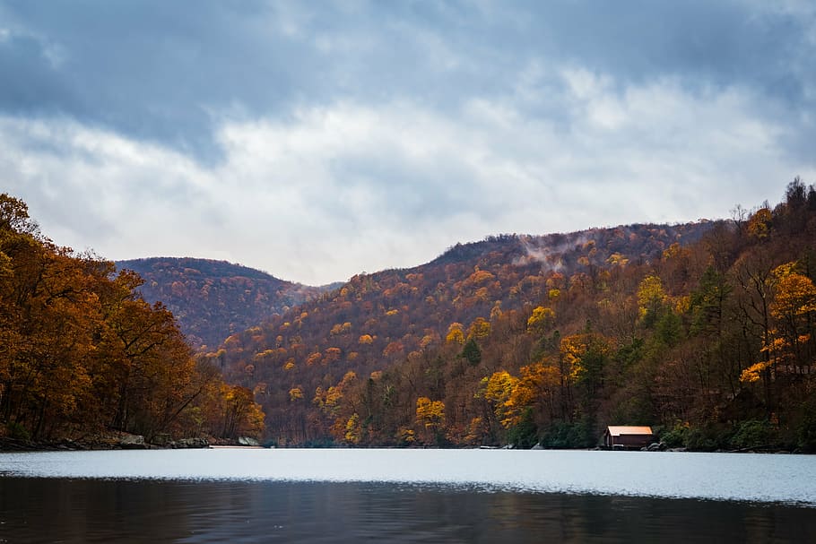 landscape photography of body of water, mountains, trees, forest HD wallpaper