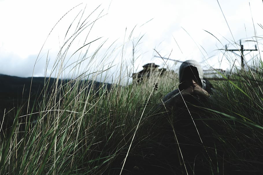 man in hoodie near grass, person with gray hoodie top sitting on green grass field at daytime HD wallpaper