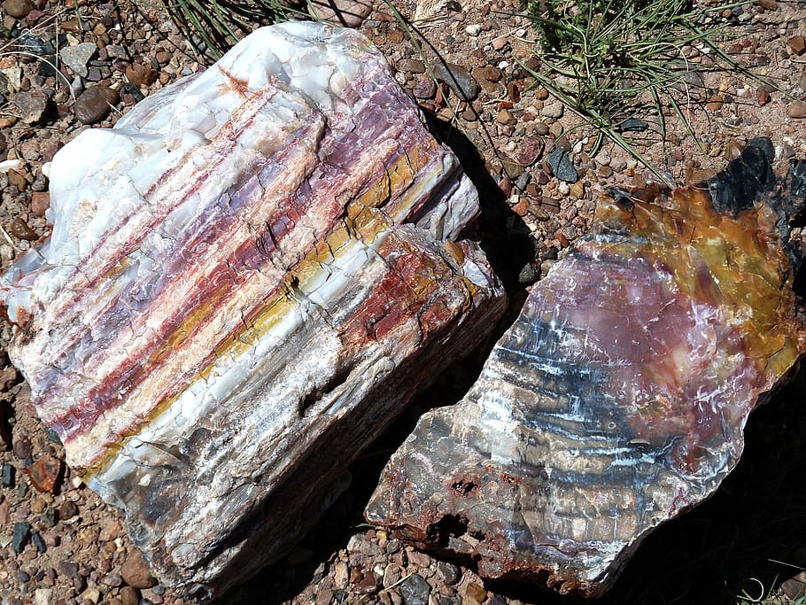 brown, gray and red stones, petrified, forest, national, park, HD wallpaper