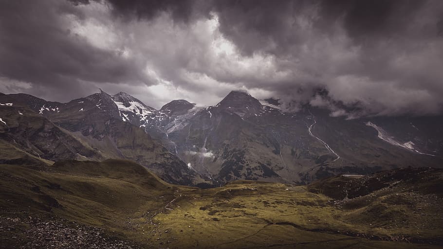 landscape photography of mountain, Find Waldo - Find-the-Cows-Edition HD wallpaper