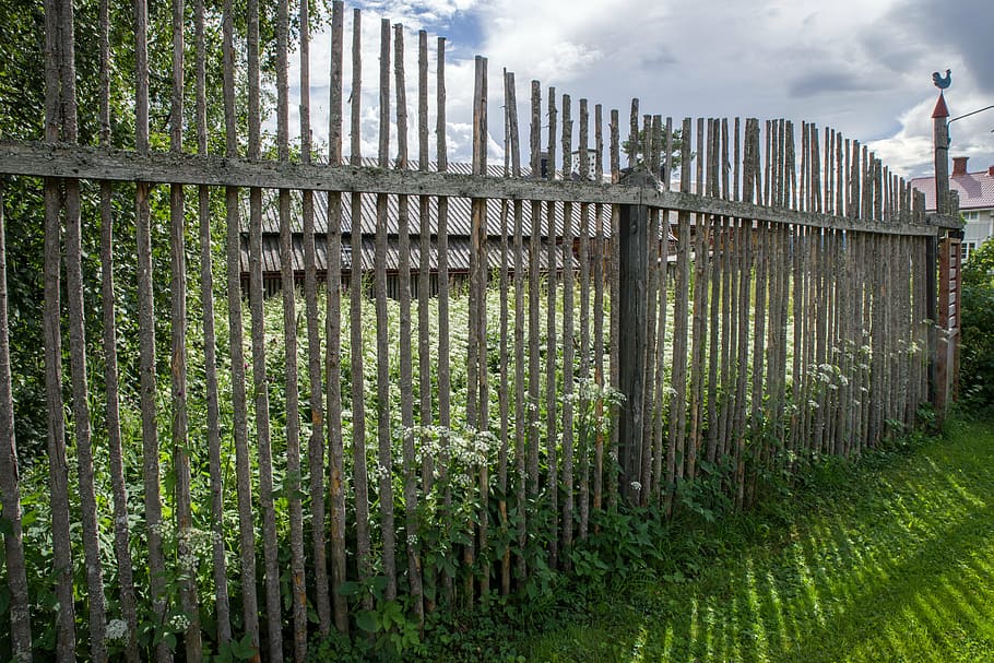 fence, light, shadow, rural Scene, nature, outdoors, plant HD wallpaper