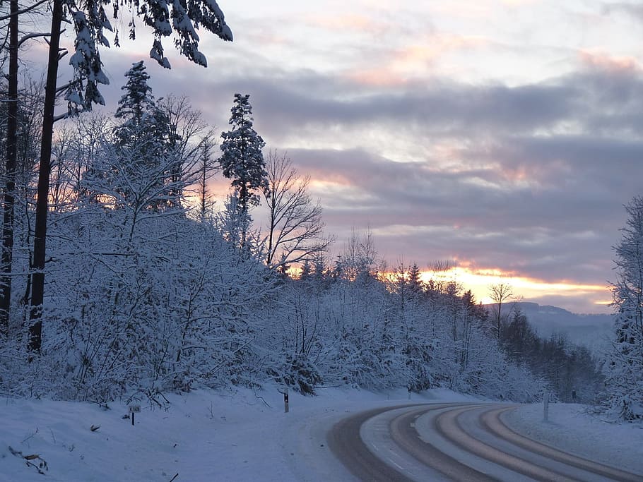 winter, trees, snow, road, slippery roads, roadway, black ice HD wallpaper