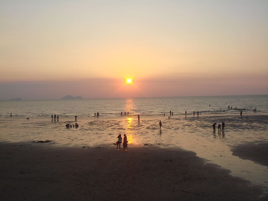sunset, ocean, sea, beach, seascape, sky, water, sand, wave HD wallpaper