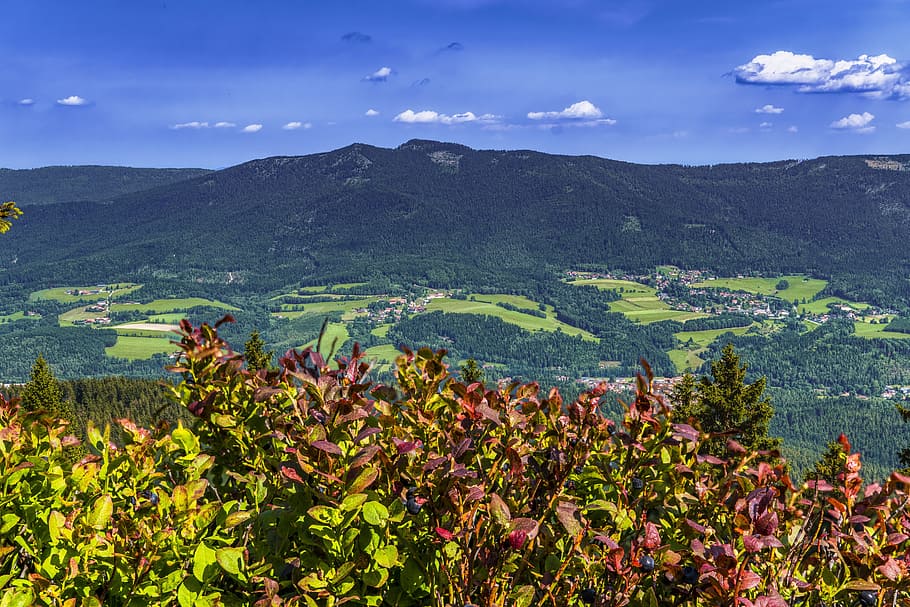 bavarian forest, mountain, landscape, germany, nature, mountain range HD wallpaper