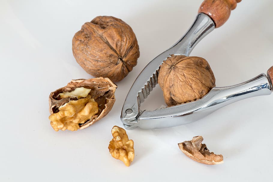 brown walnuts, nutcracker, food, nut - Food, nutshell, fruit HD wallpaper. ...
