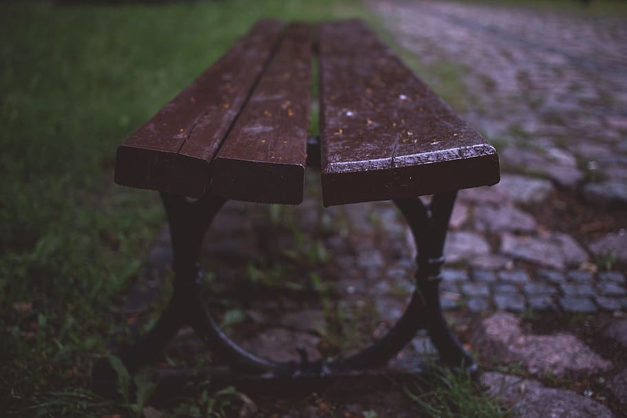bench, brown, grass, green, park, place, rain, rainy, sit, water HD wallpaper