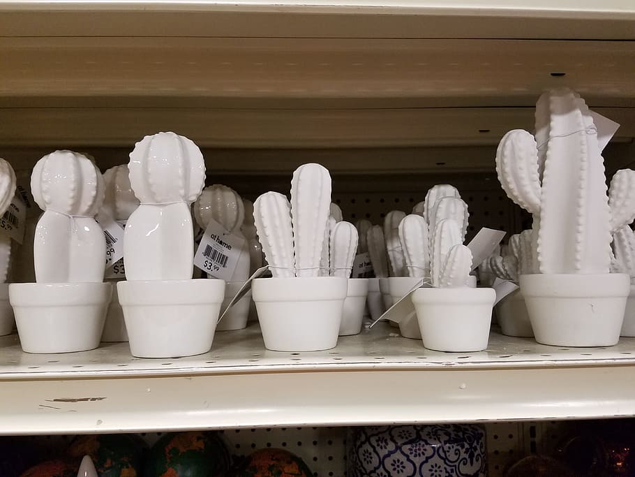 cactus, ceramic, decoration, succulent, white color, no people HD wallpaper