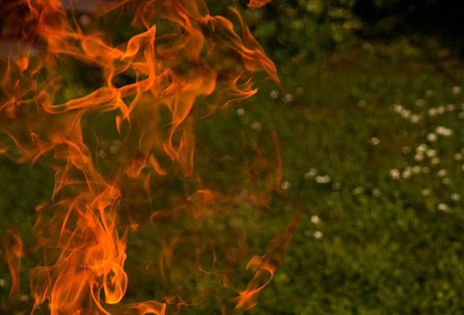 flame closeup photo, dangerous, caution, fire, barbecue, potato roast HD wallpaper