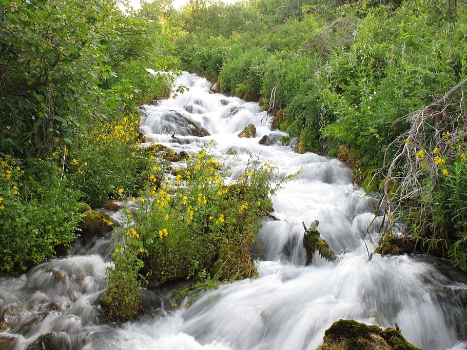 cascade, springs, water, fall, rocks, flowers, white, green HD wallpaper