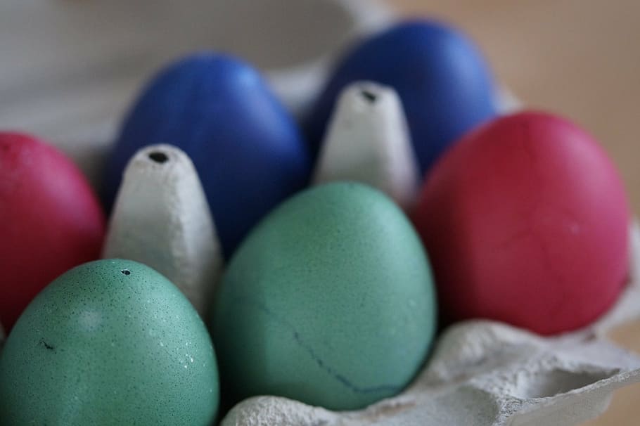 egg, eggs felt, colorful eggs, easter eggs, colored, egg box, HD wallpaper
