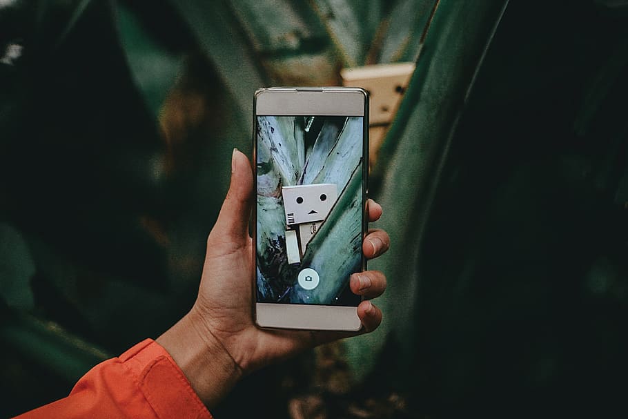 mobile, phone, gadget, communication, camera, capture, danbo HD wallpaper