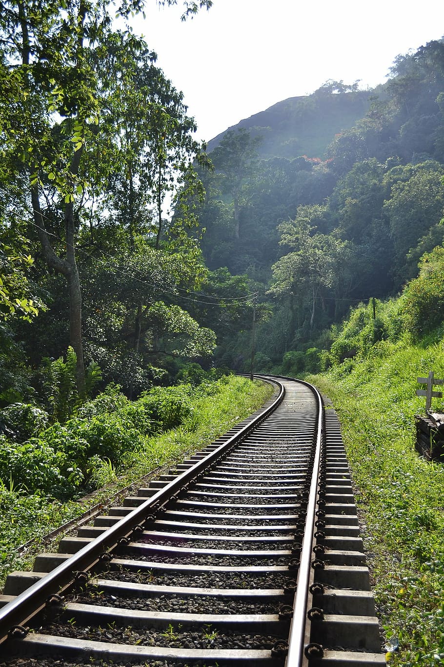 rail road, rails, train, transport, path, tunnel, sri lanka
