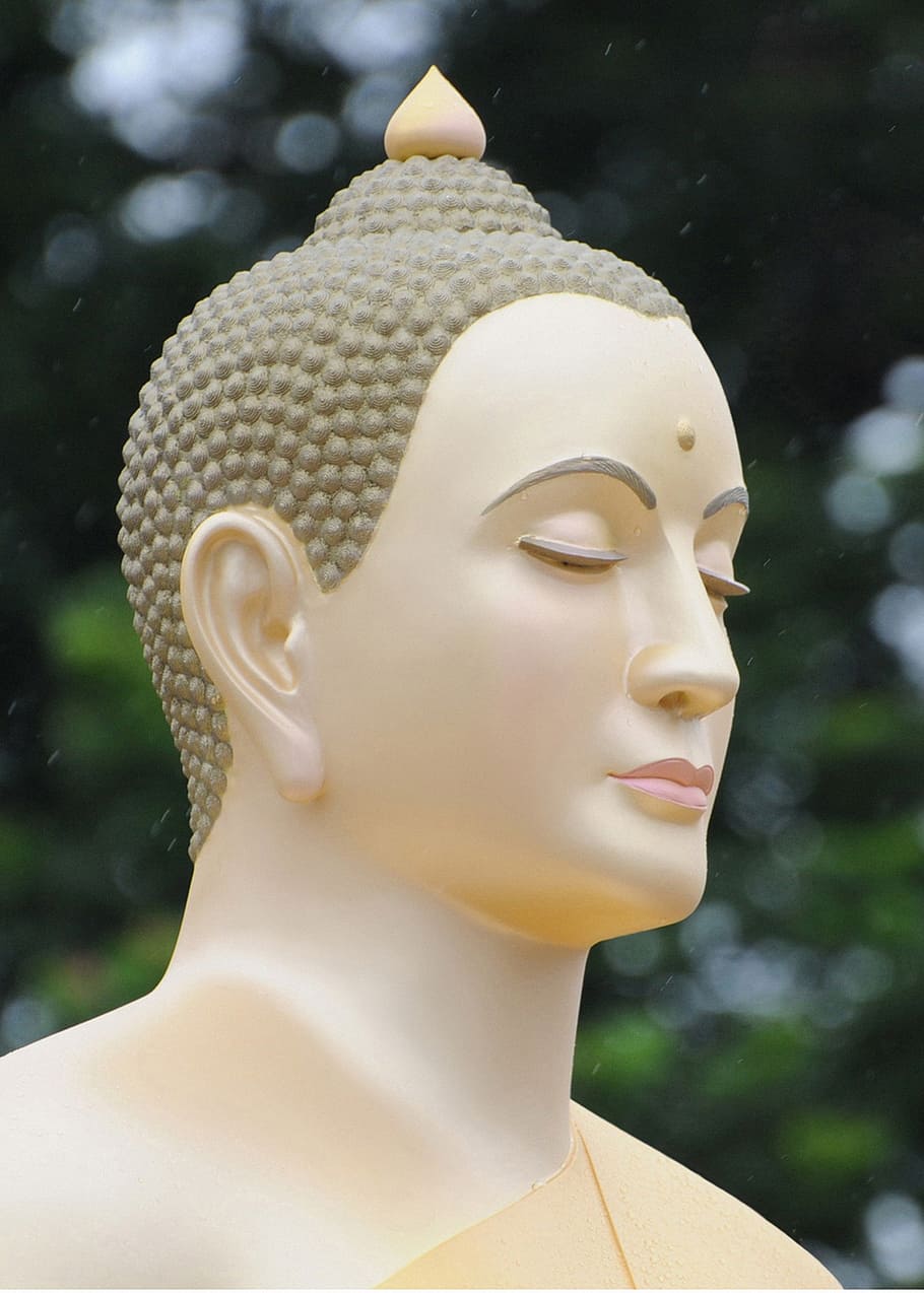 buddha, buddhists, meditate, wat, phra dhammakaya, thailand, HD wallpaper