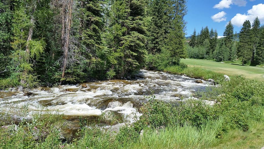 River, Colorado, Golf, nature, landscape, forest, scenics, outdoors HD wallpaper