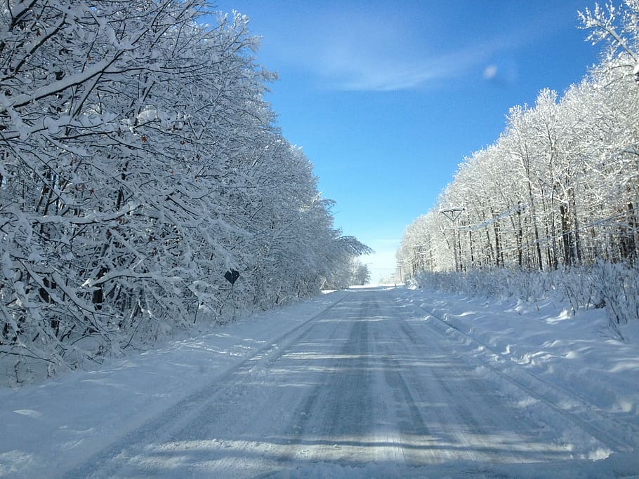 trees covered by snow, Road, Snow, White, Winter, Season, Cold HD wallpaper