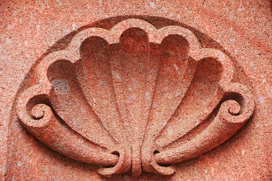 shell, facade, structure, wall, building, architecture, background HD wallpaper