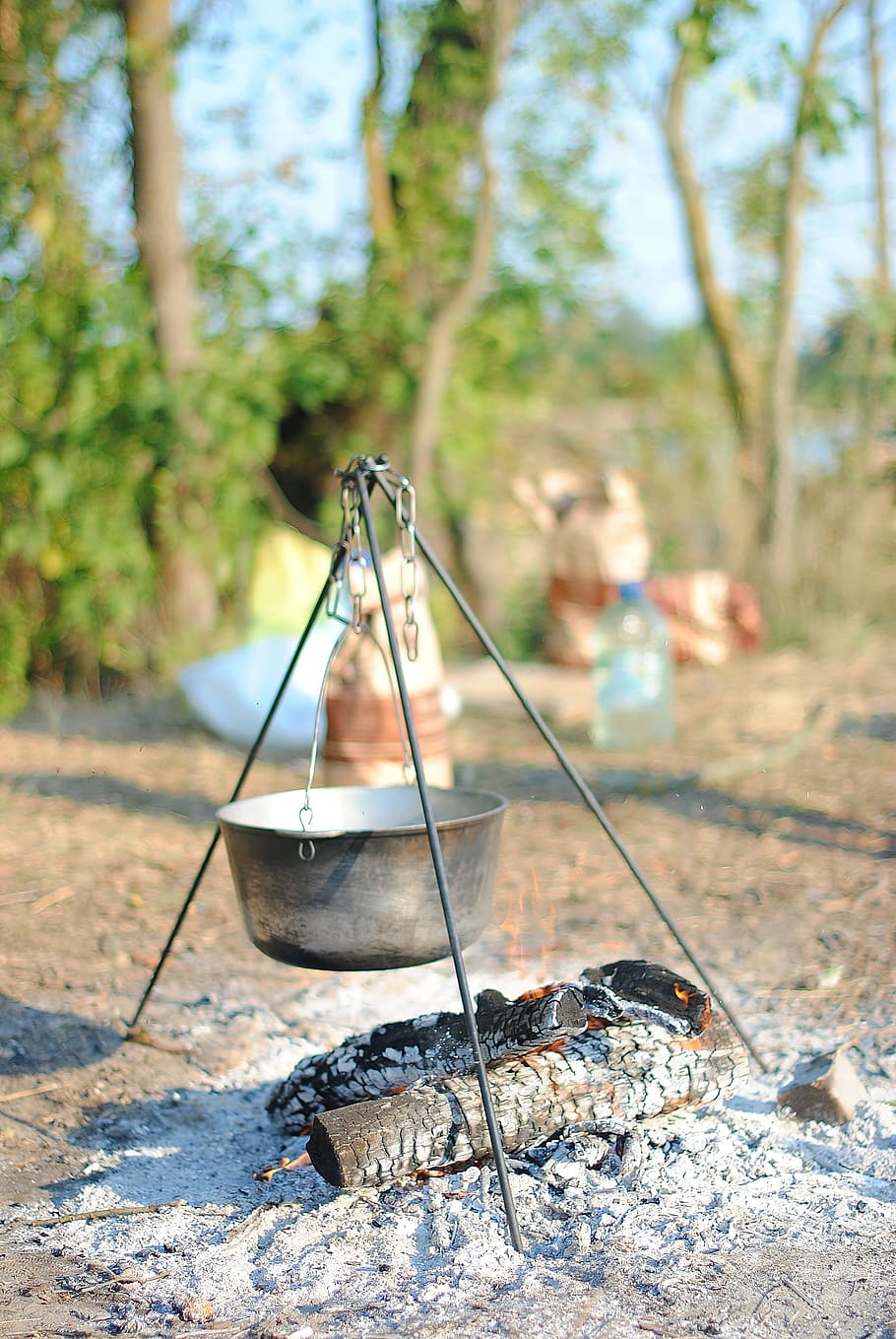 Cooking in nature. Cooking of nature. Nature Cook. Cook with nature.