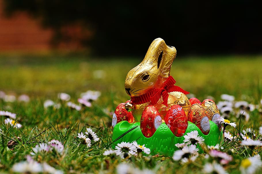 hare, easter, chocolate, spring meadow, wildflowers, blue, flower meadow HD wallpaper