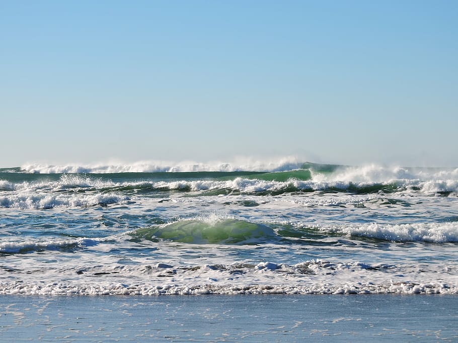sea waves at daytime, beach, ocean, pacific, water, oregon HD wallpaper