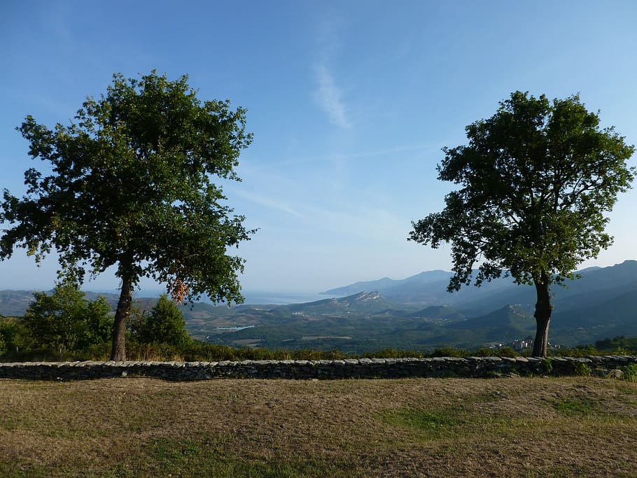 peace, corsican, tranquility, plant, tree, sky, tranquil scene HD wallpaper