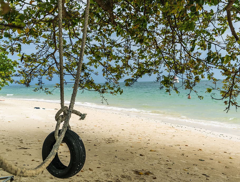 Tire Swing, Beach, Fun, Outdoor, summer, nature, sand, vacation HD wallpaper