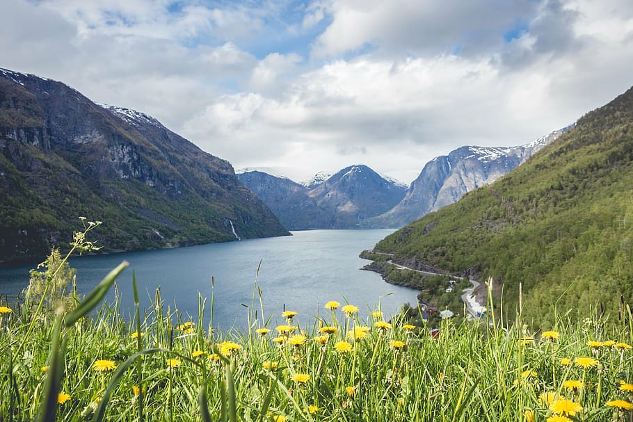 lake between mountains with flower shoreline under white clouds at daytime HD wallpaper