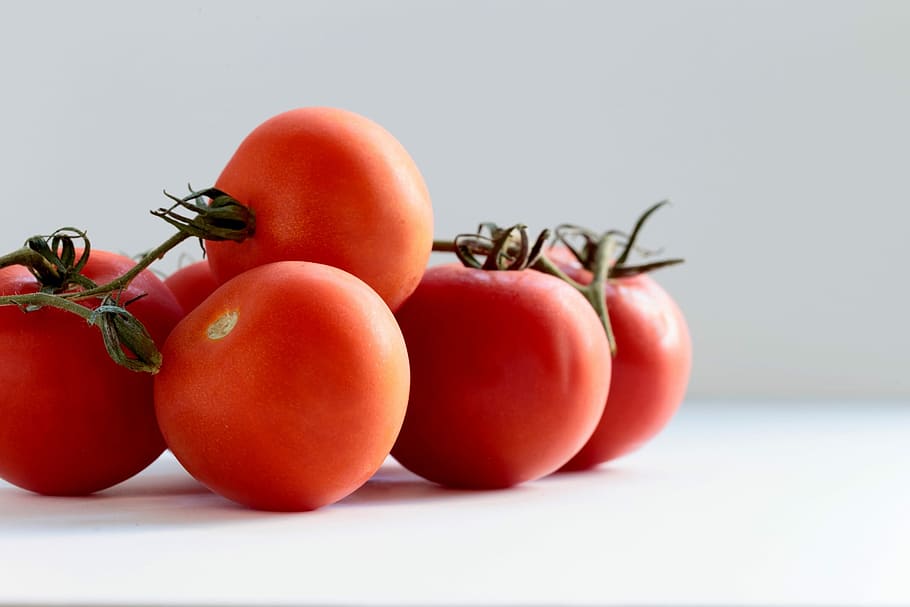 red tomato on white surface, tilt-shift photography of red tomatoes HD wallpaper