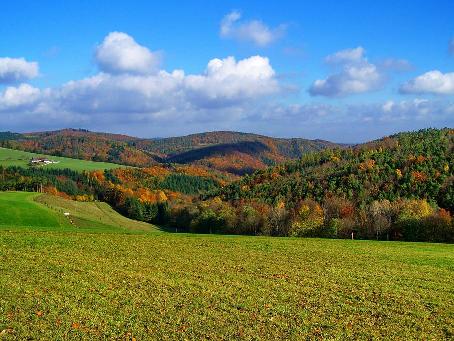 landscape, autumn landscape, environment, plant, scenics - nature HD wallpaper