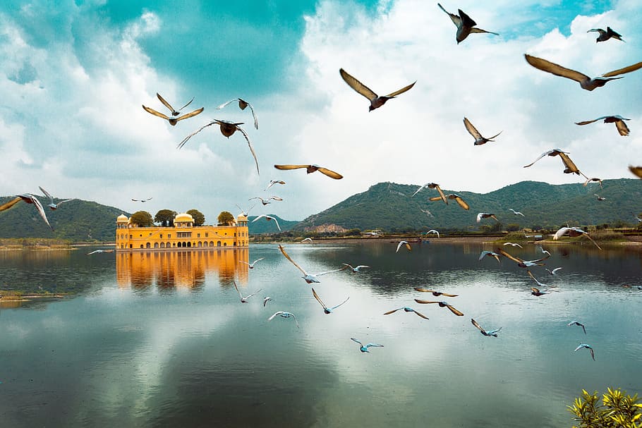 architecture, building, infrastructure, view, outdoor, birds HD wallpaper