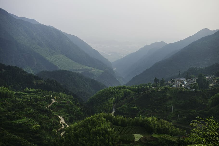 fog, landscape, mist, mountain range, mountains, nature, outdoors HD wallpaper