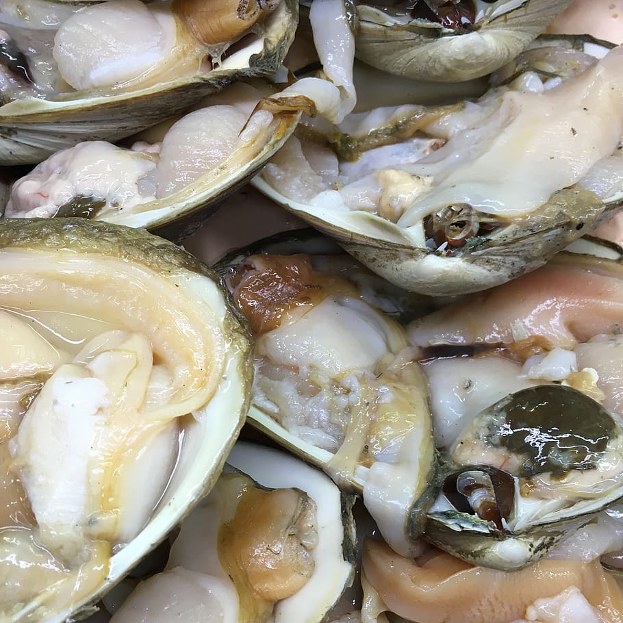 clams, fresh, shellfish, raw, food and drink, freshness, healthy eating HD wallpaper