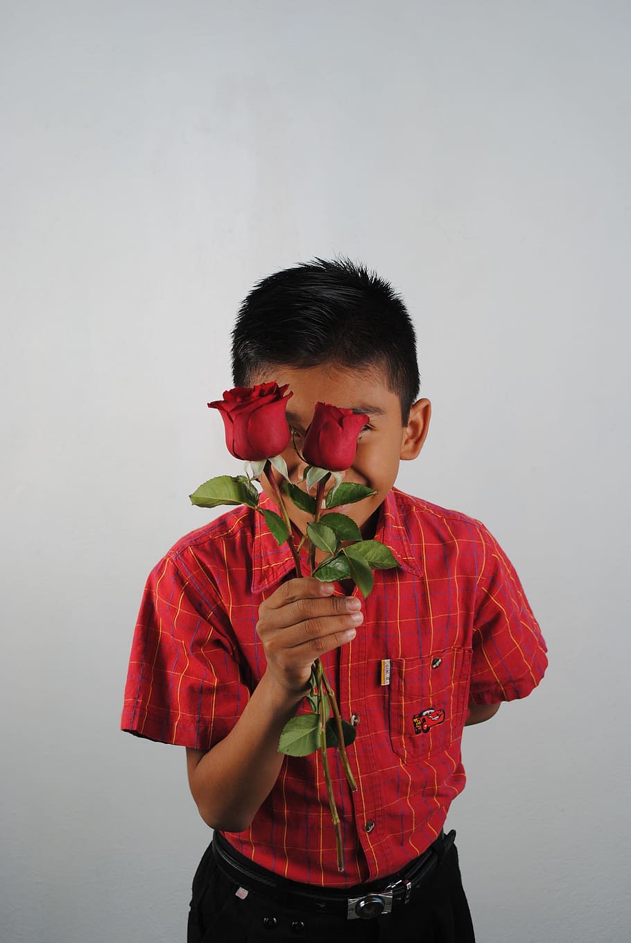 red roses, child, one person, boys, front view, childhood, standing HD wallpaper