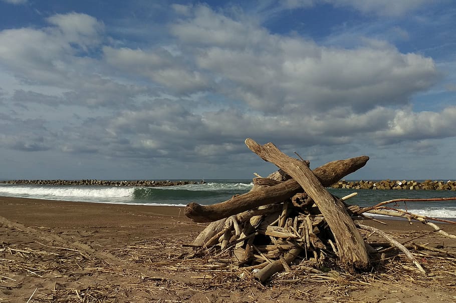 sky, cloud, wind, sea, beach, wood, driftwood, firewood, natural HD wallpaper