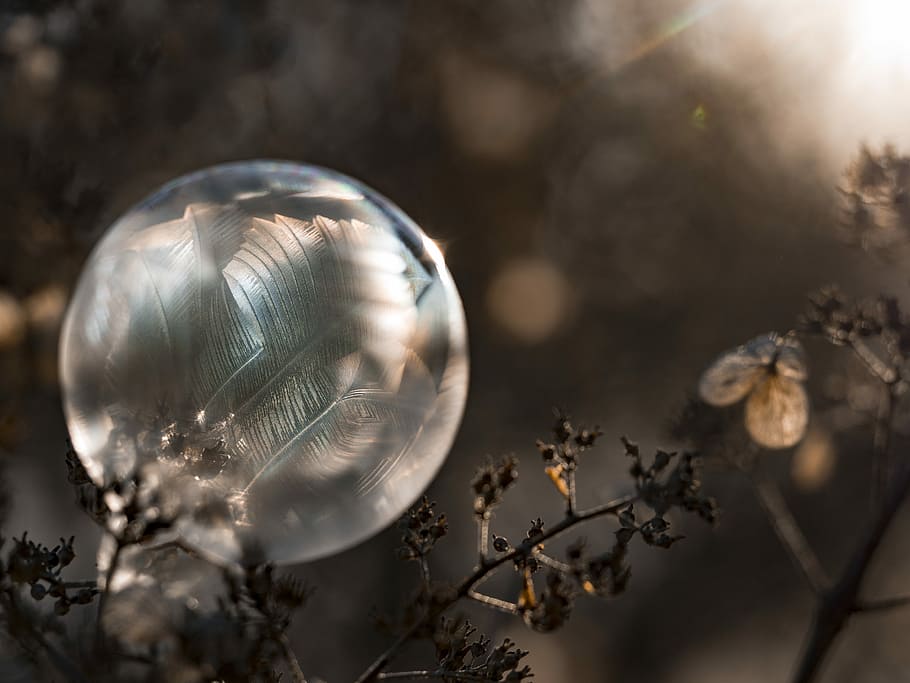 shallow focus photo of bubbles, shallow focus photography of bubble HD wallpaper