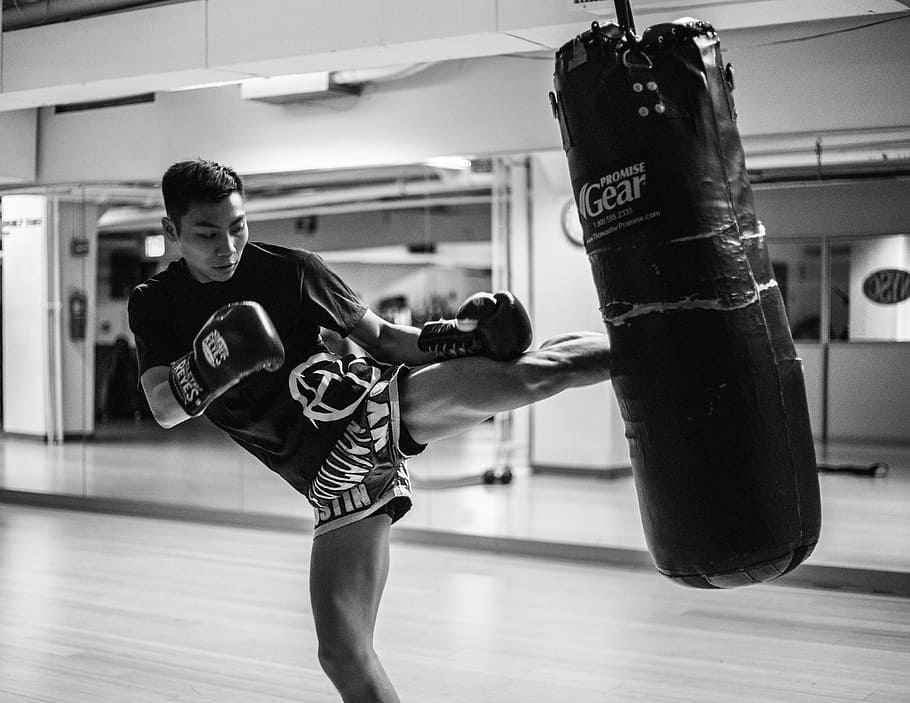 Boxing Bag Pictures | Download Free Images on Unsplash